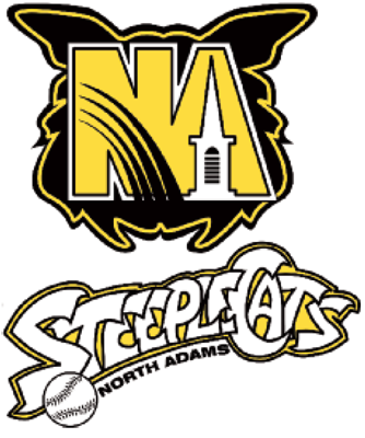 North Adams SteepleCats 2002-Pres Primary Logo iron on transfers for T-shirts